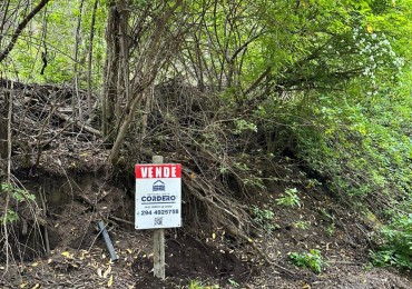 LOTE EN VENTA EN ALIHUEN ALTO 